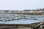 Bretagne-Camaret-port de plaisance-en arrière plan les quais et habitations