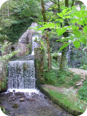 Cascade du hérisson